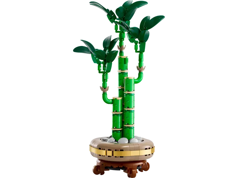 10344 Lucky Bamboo