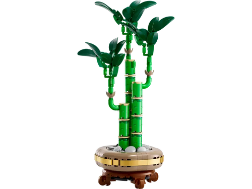 10344 Lucky Bamboo