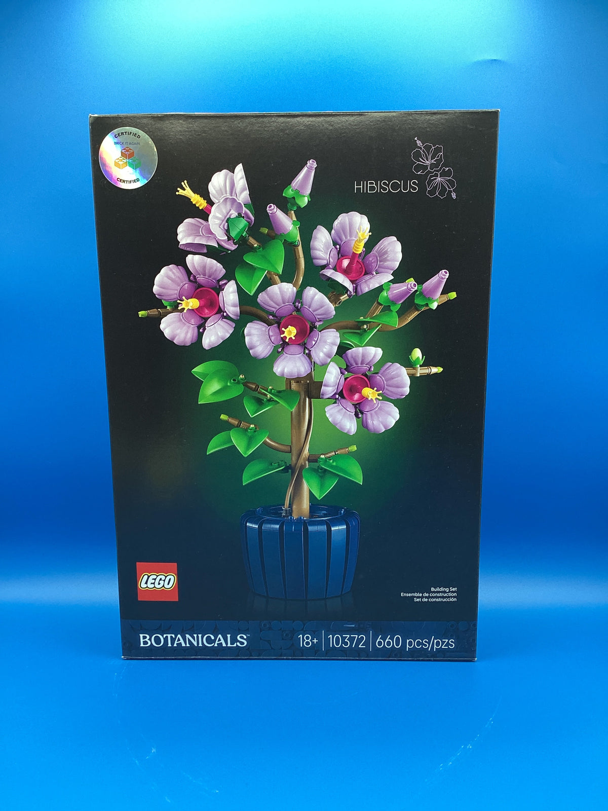 10372 Hibiscus