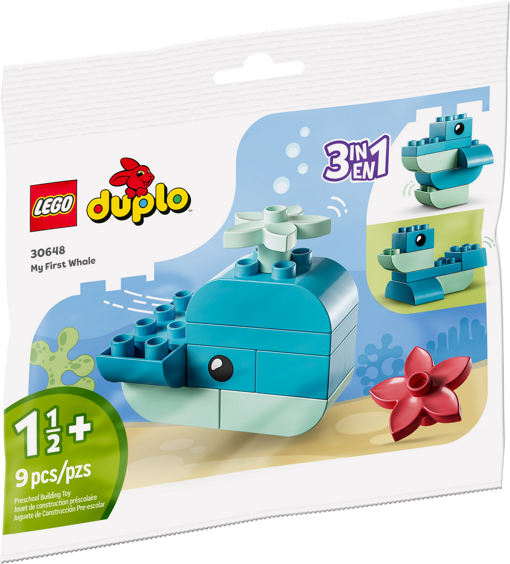 30648 Whale