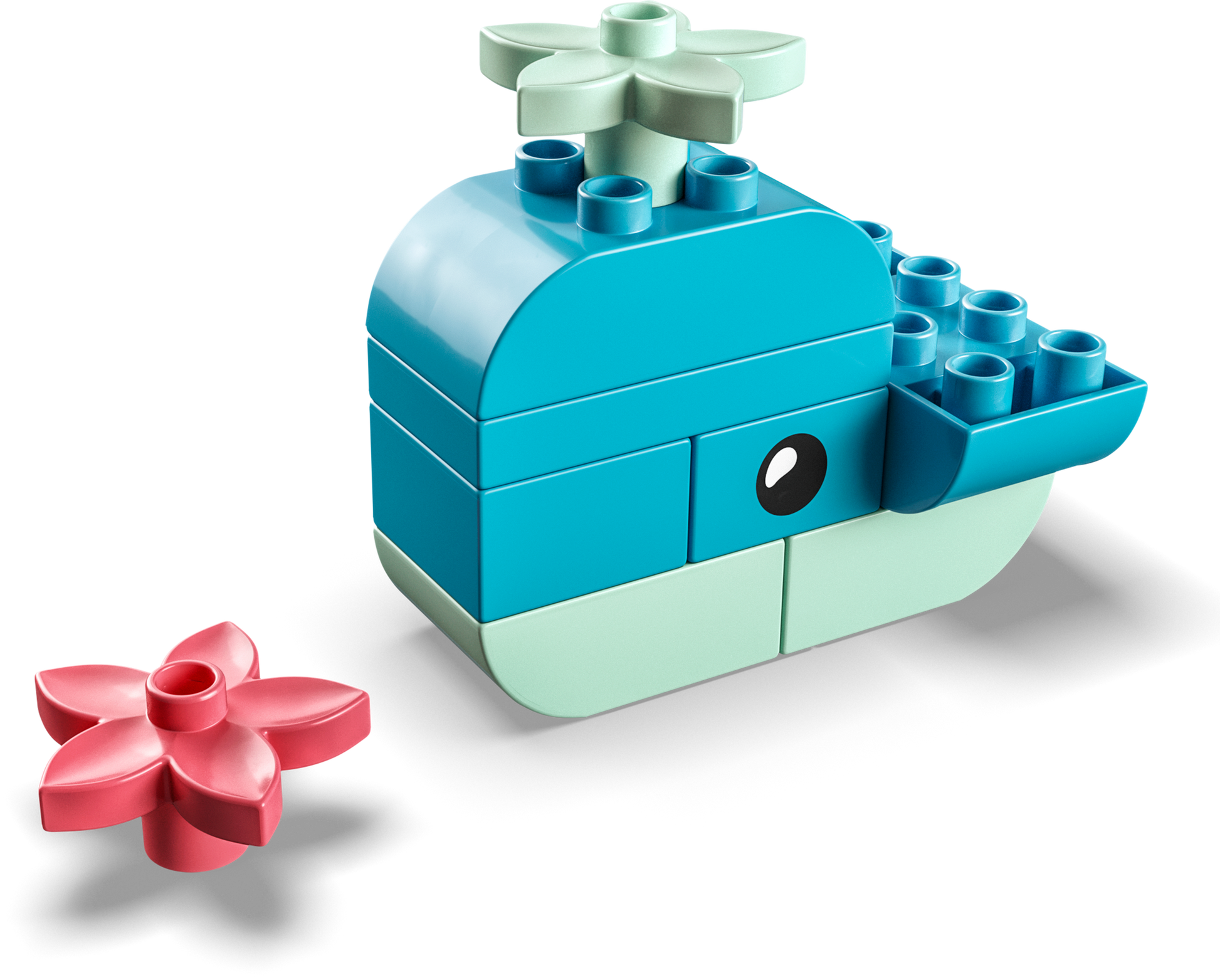 30648 Whale