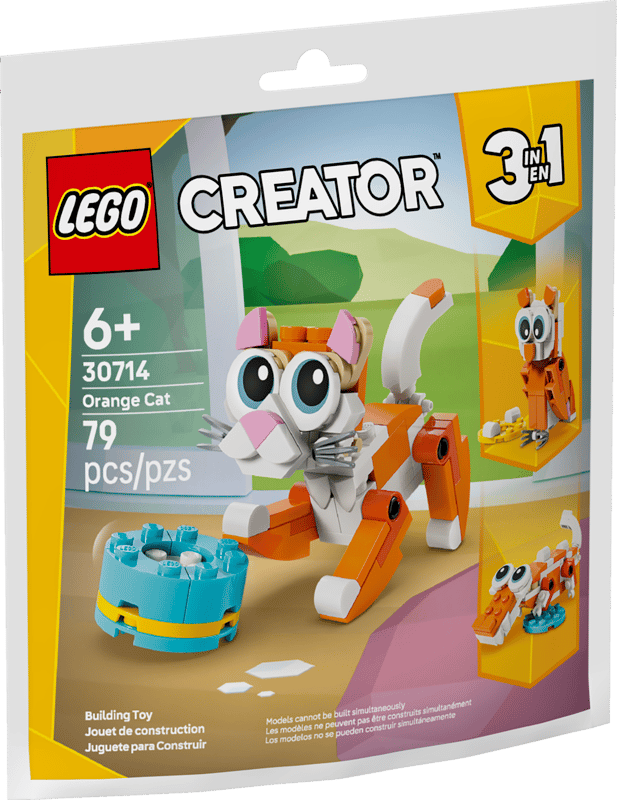 30714 Orange Cat
