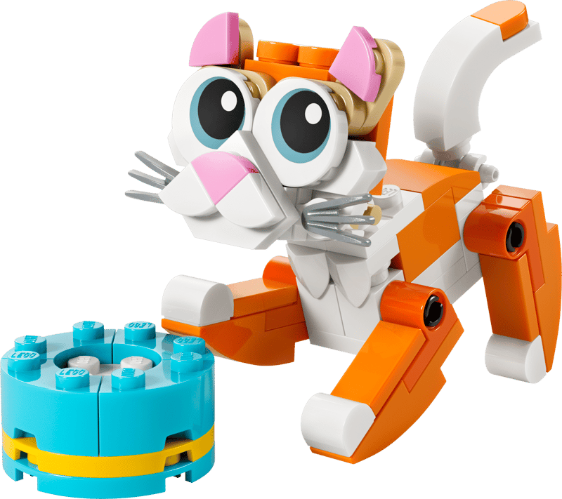 30714 Orange Cat