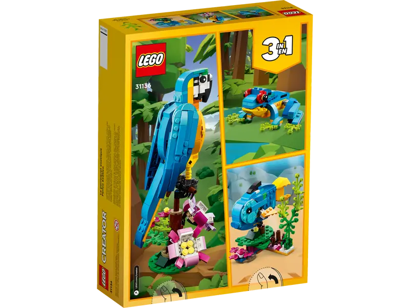 31136 Exotic Parrot