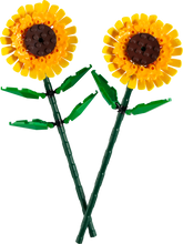 40524 Sunflowers