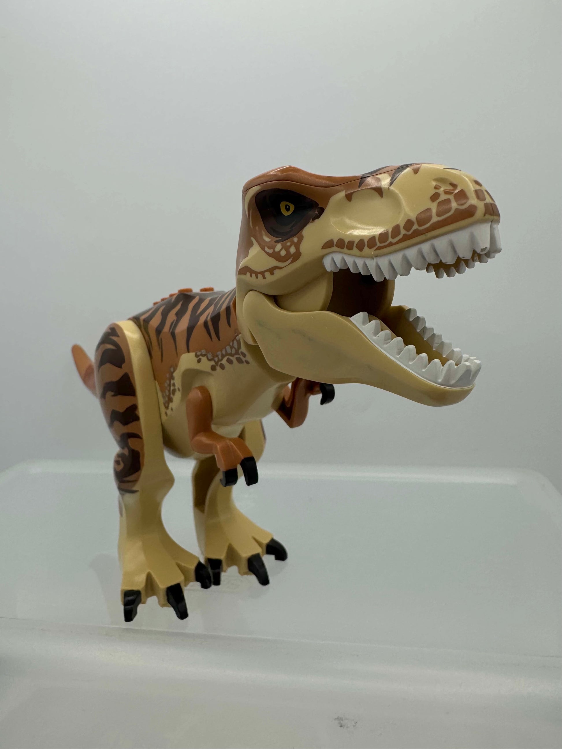 trex05 Dinosaur Tyrannosaurus rex with Medium Nougat Back