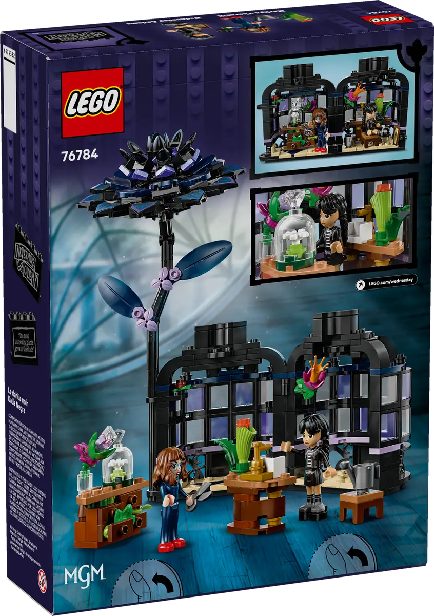 76784 Black Dahlia Flower