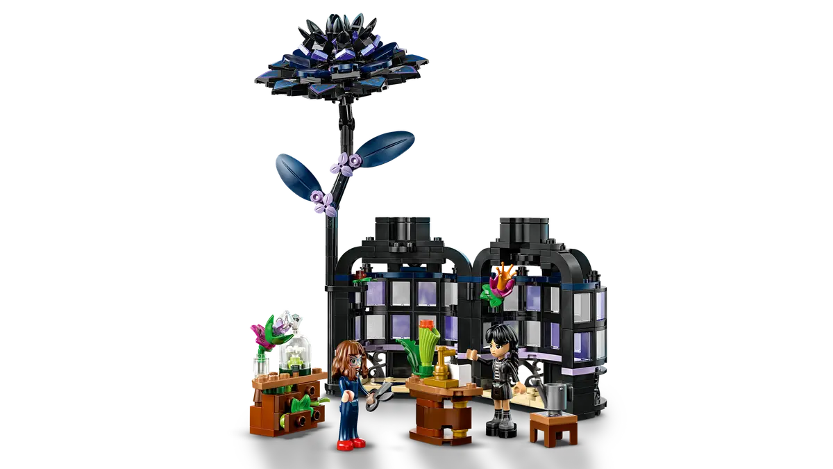 76784 Black Dahlia Flower