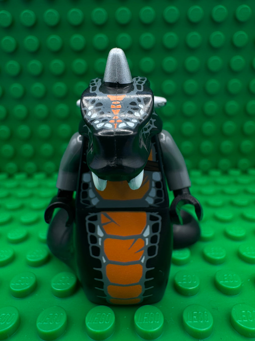 njo0067 Skalidor