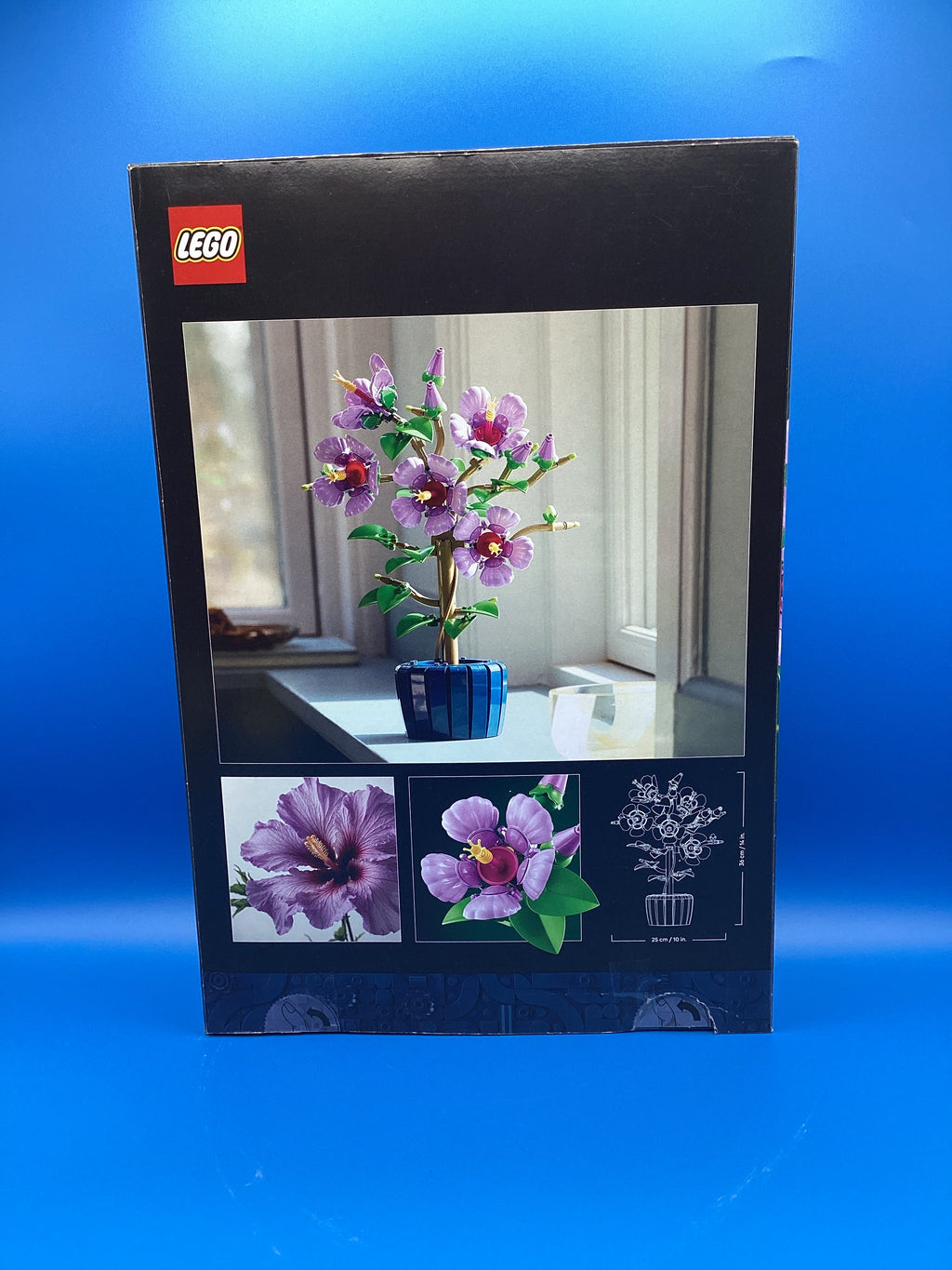 10372 Hibiscus