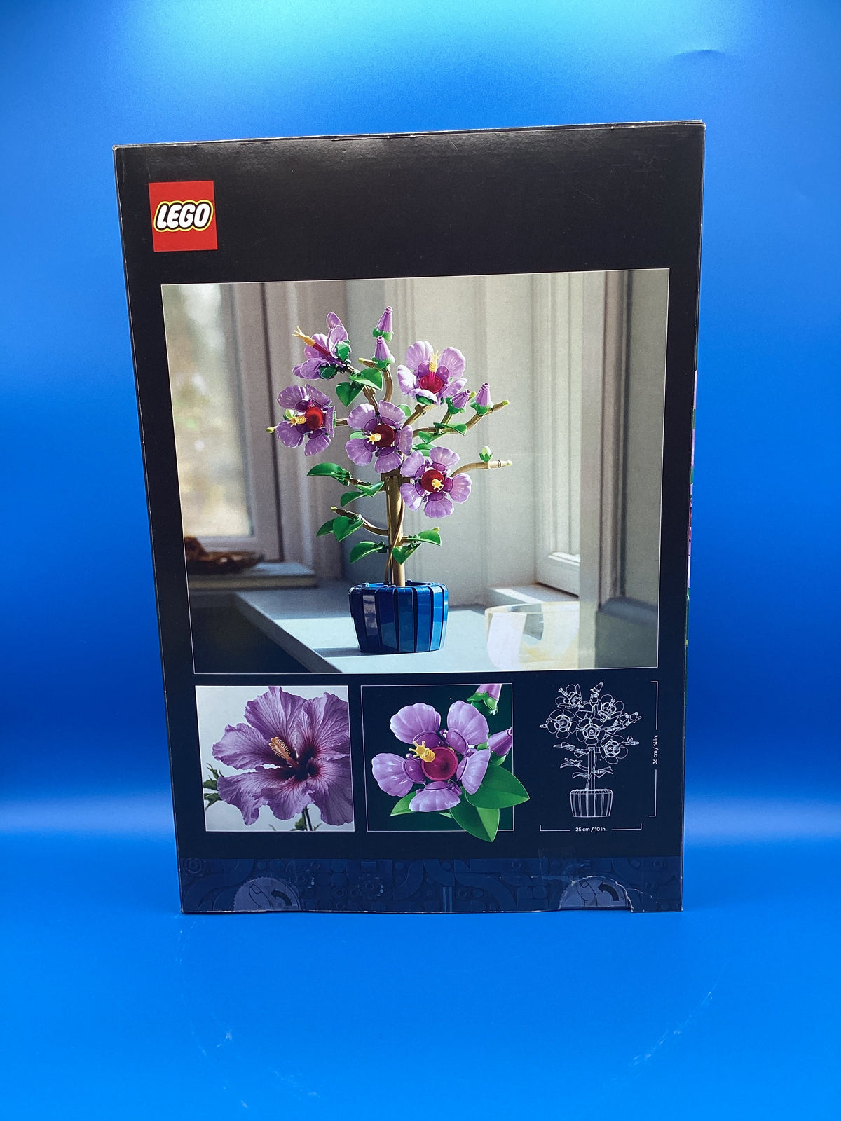 10372 Hibiscus