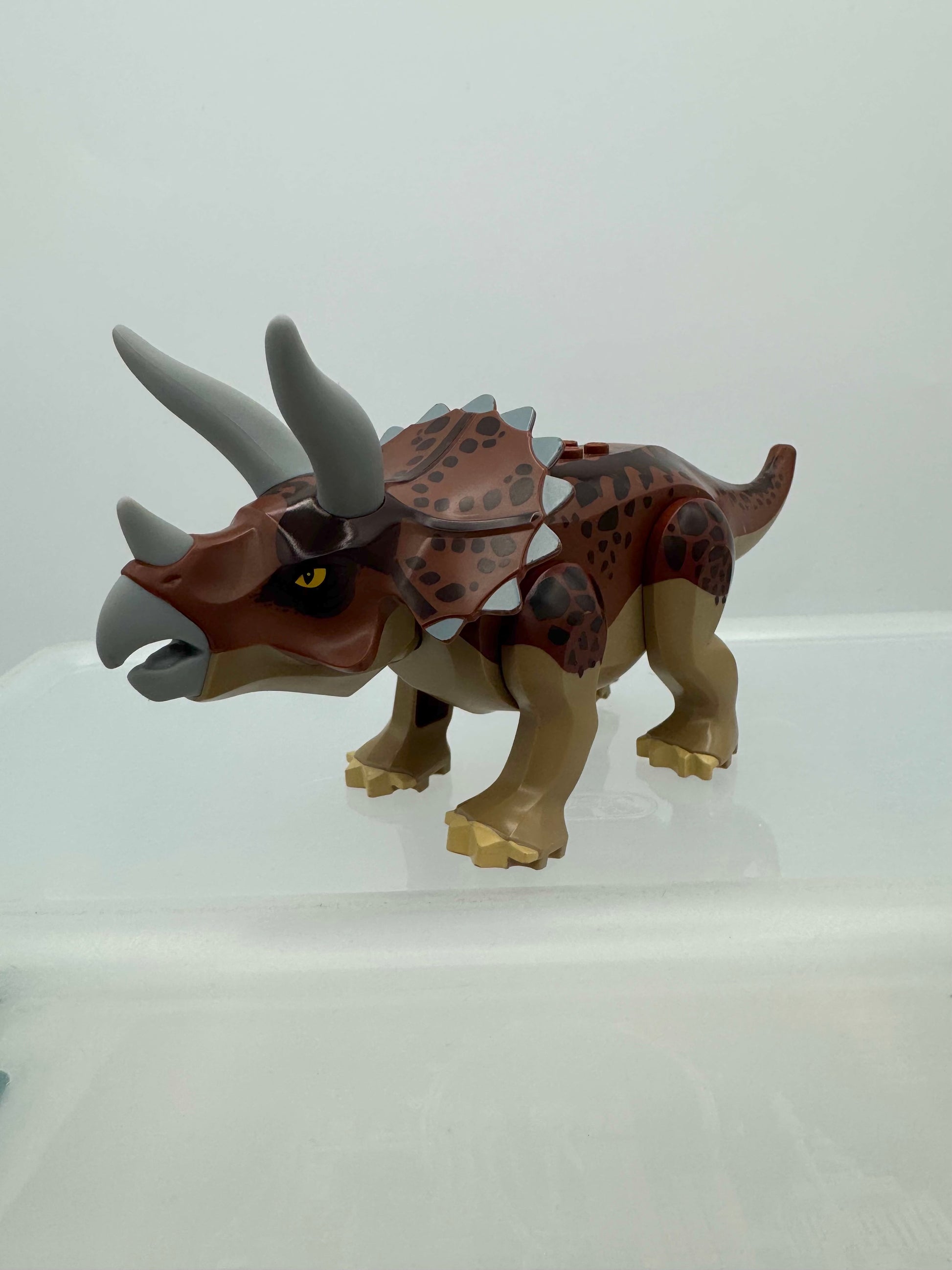 tricera01 Dinosaur Triceratops with Reddish Brown Back