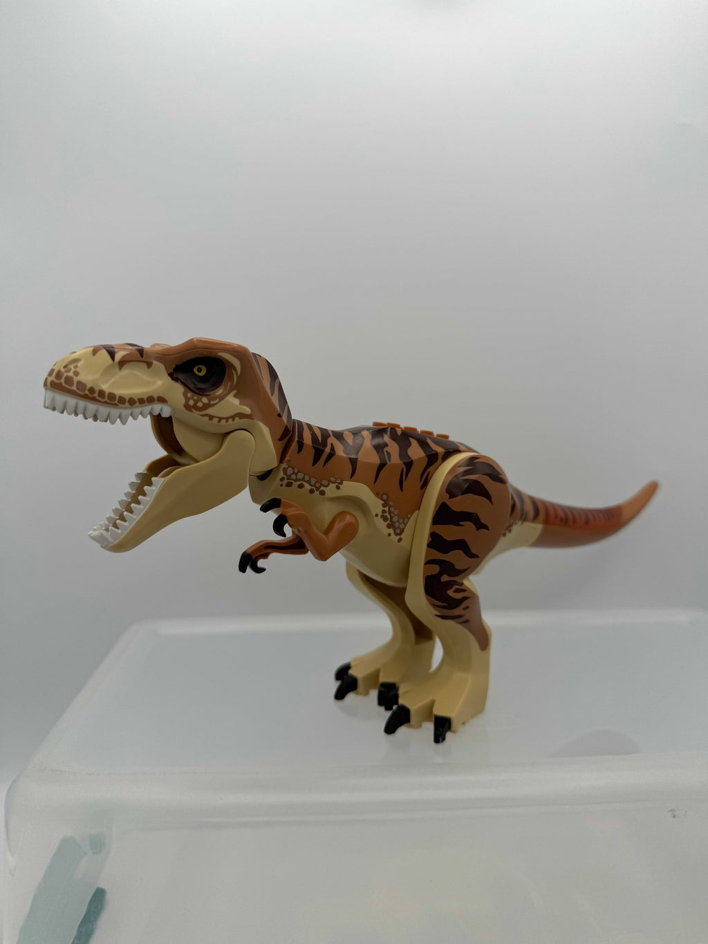 trex05 Dinosaur Tyrannosaurus rex with Medium Nougat Back