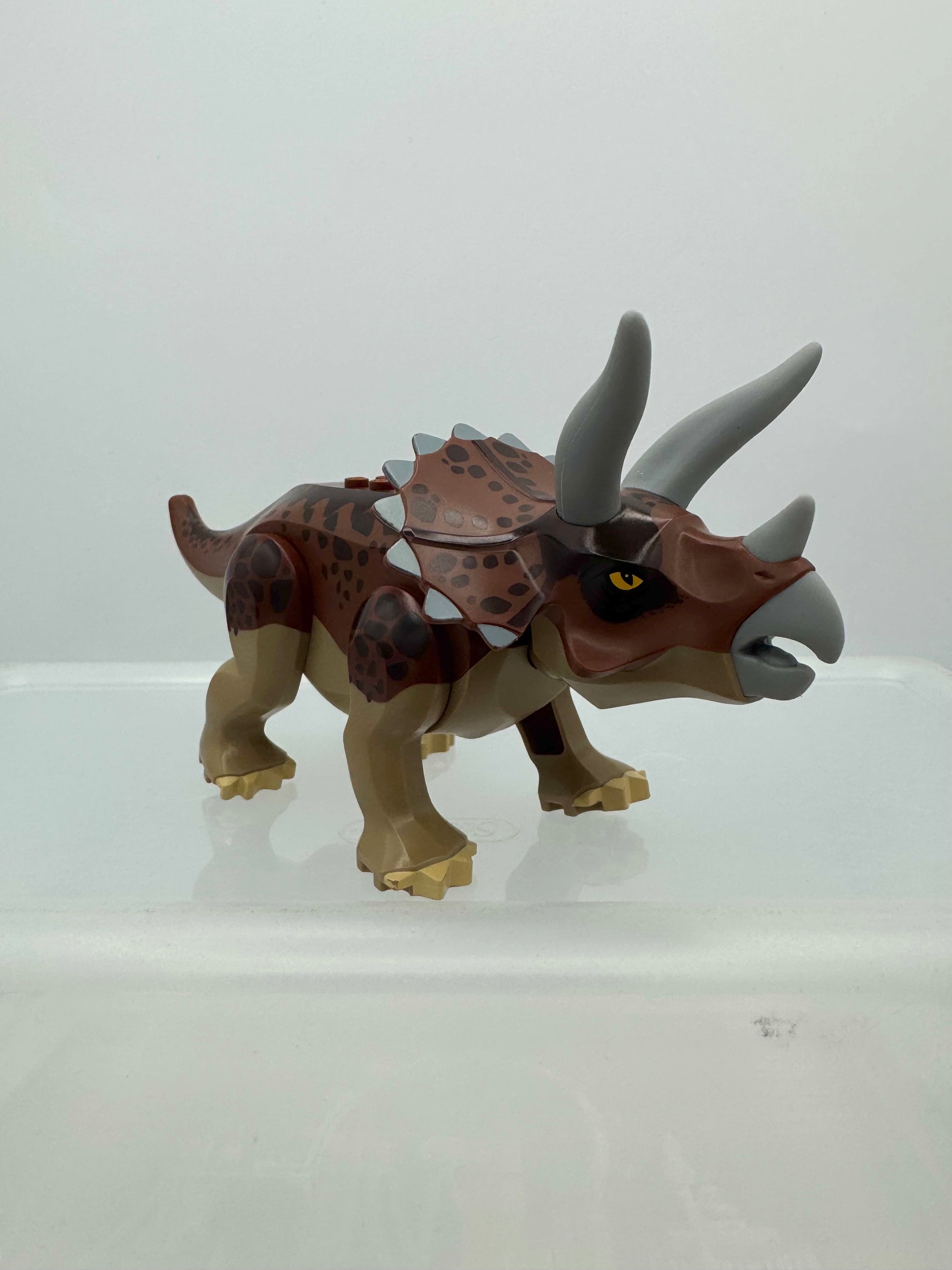 tricera01 Dinosaur Triceratops with Reddish Brown Back
