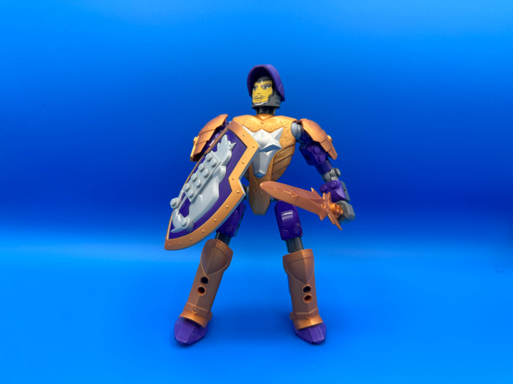 8791 Sir Danju