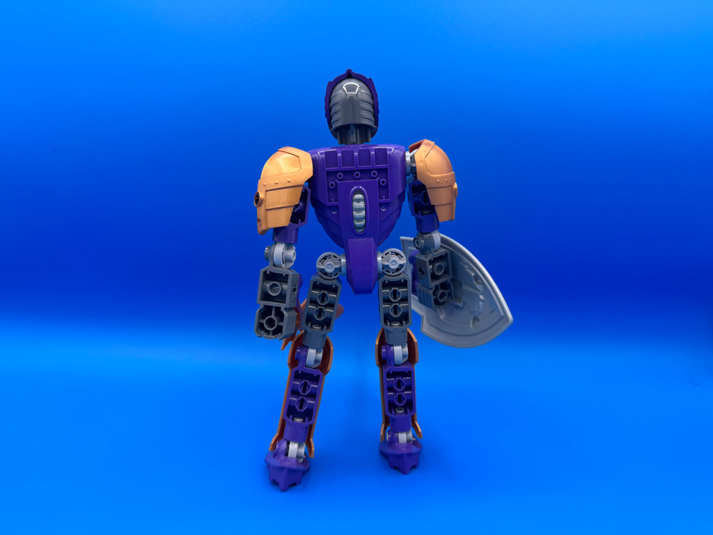 8791 Sir Danju