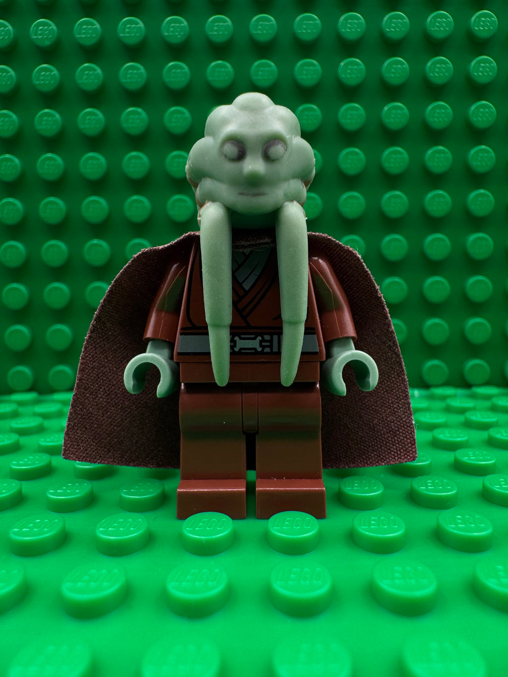 sw0422 Kit Fisto - Reddish Brown Cape