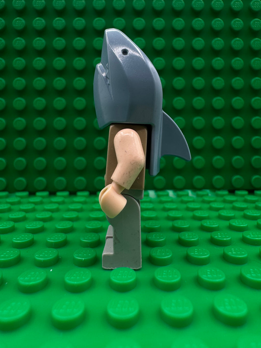 hp068 Viktor Krum - Shark