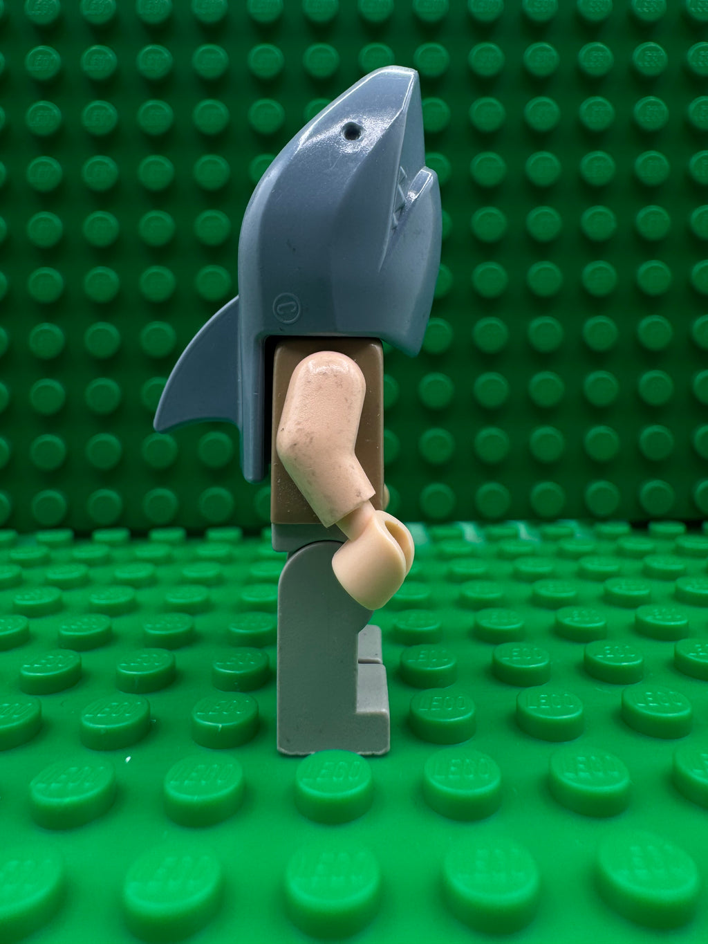 hp068 Viktor Krum - Shark