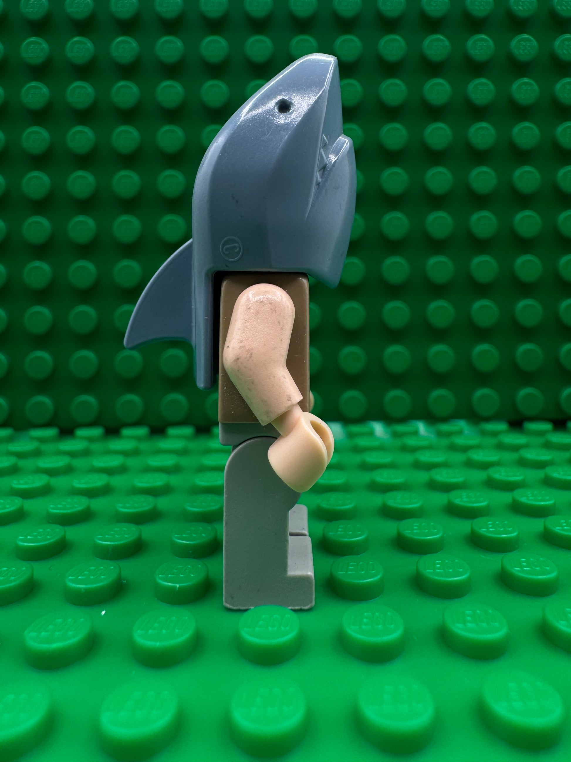 hp068 Viktor Krum - Shark