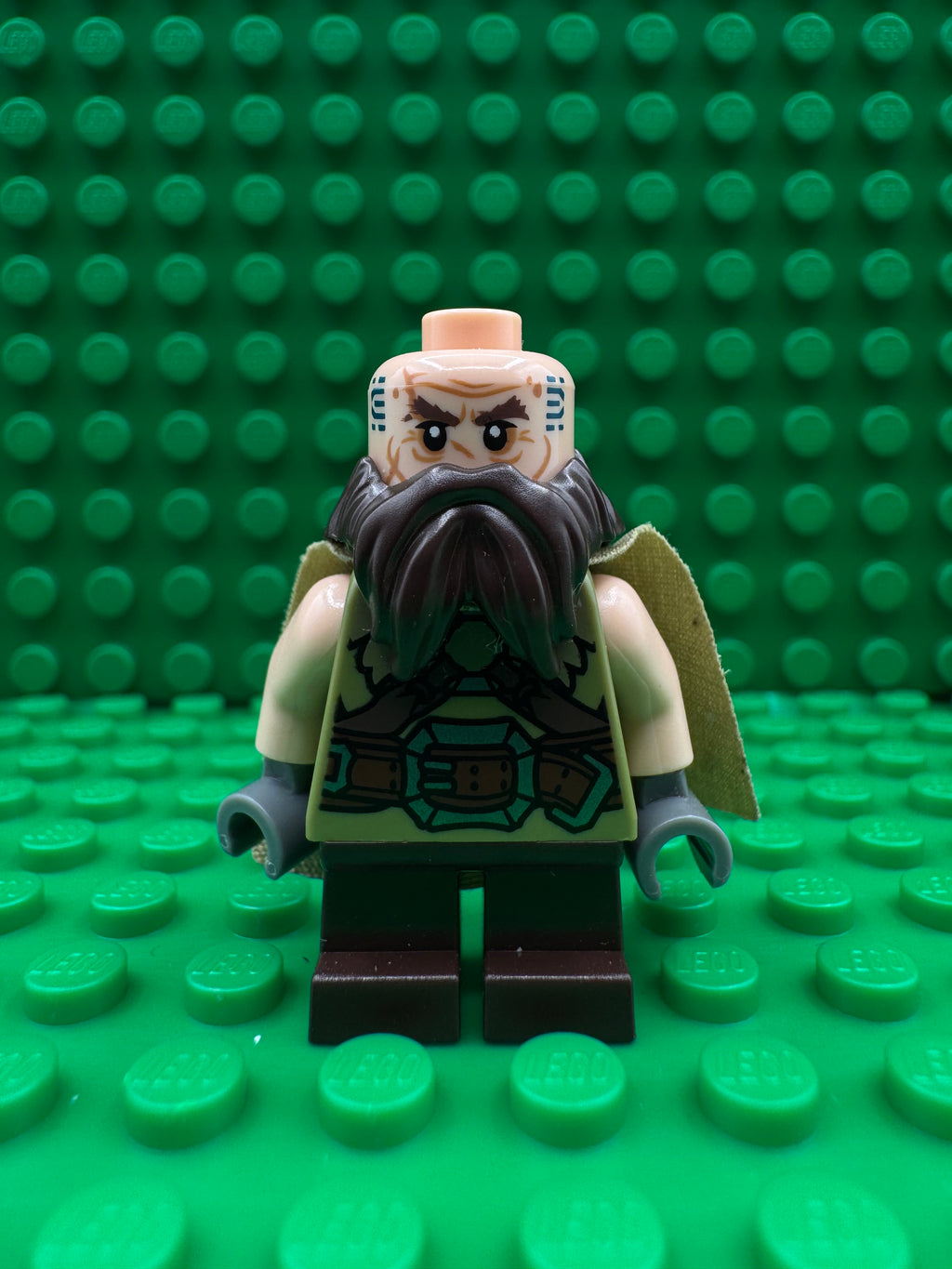 lor050 Dwalin the Dwarf
