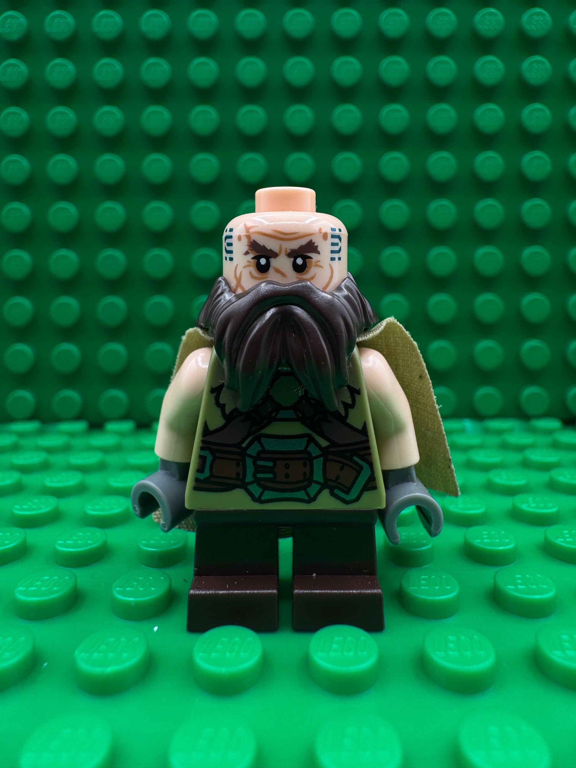 lor050 Dwalin the Dwarf