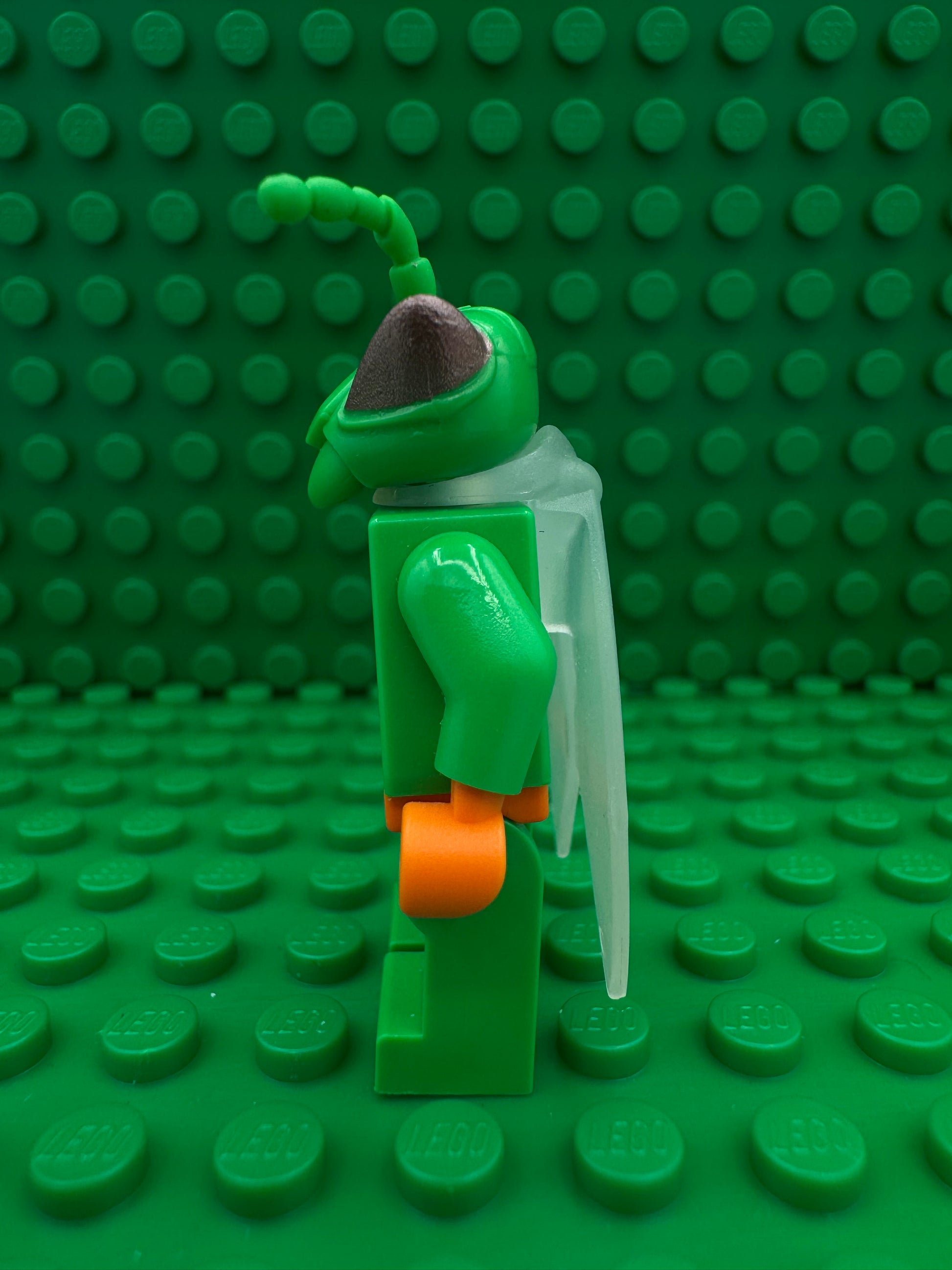toy007 Twitch