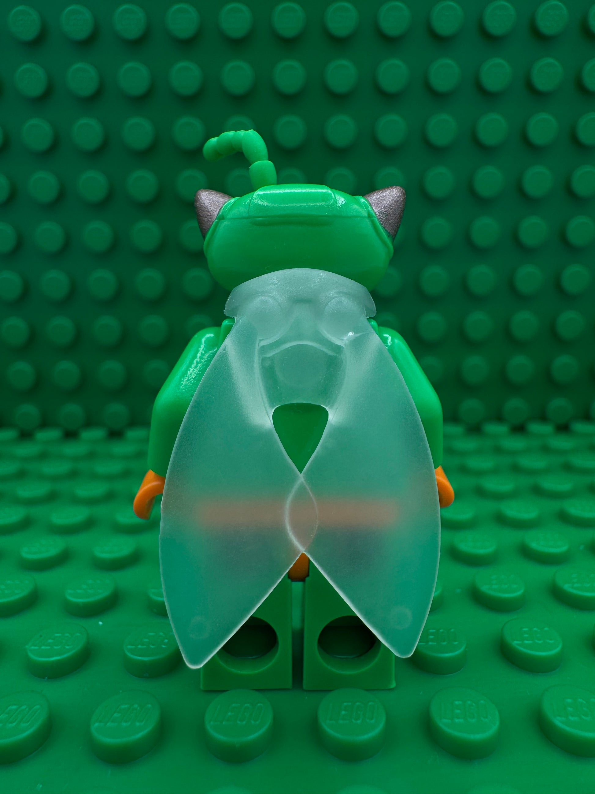 toy007 Twitch