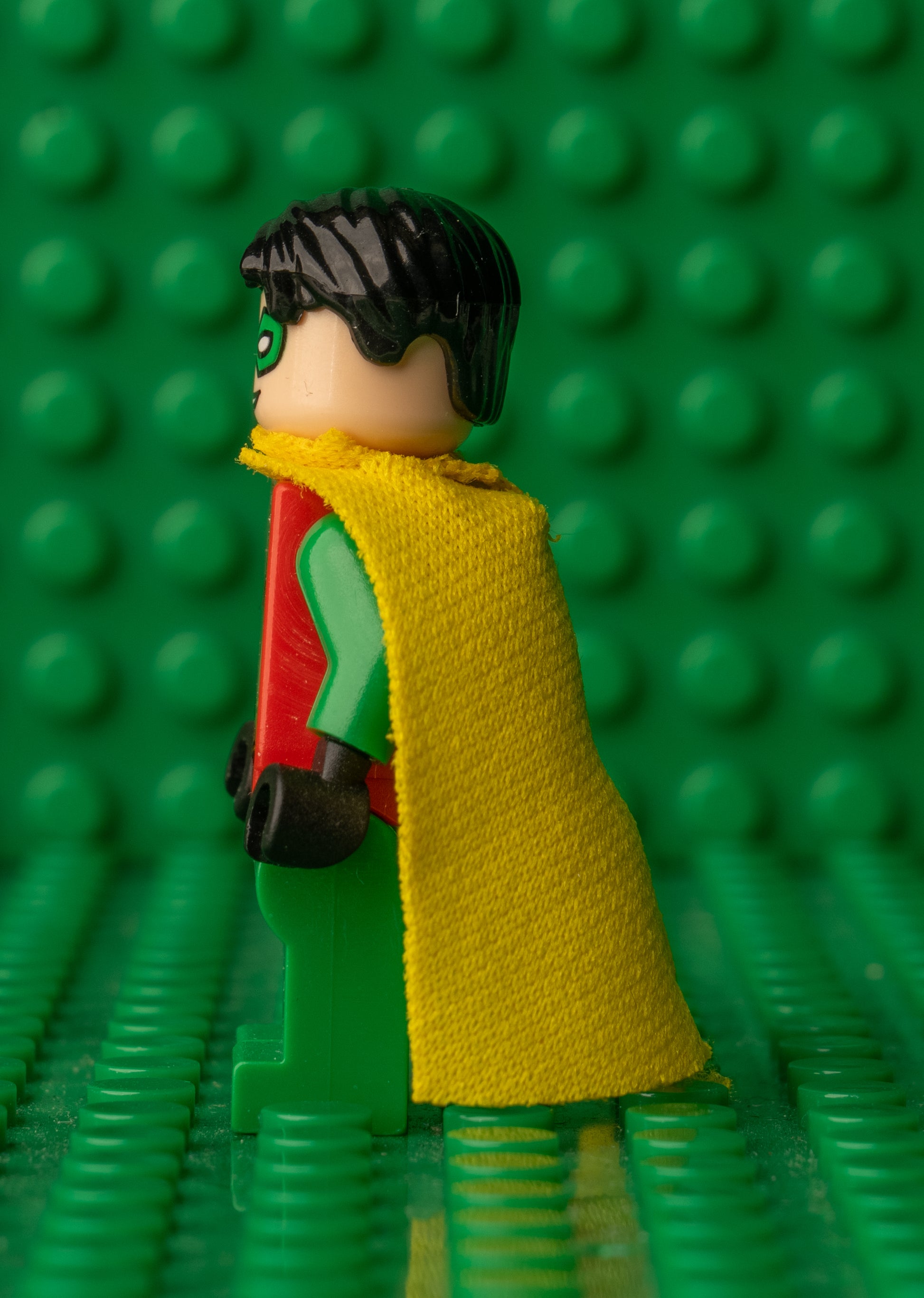 bat025 Robin Short Hair