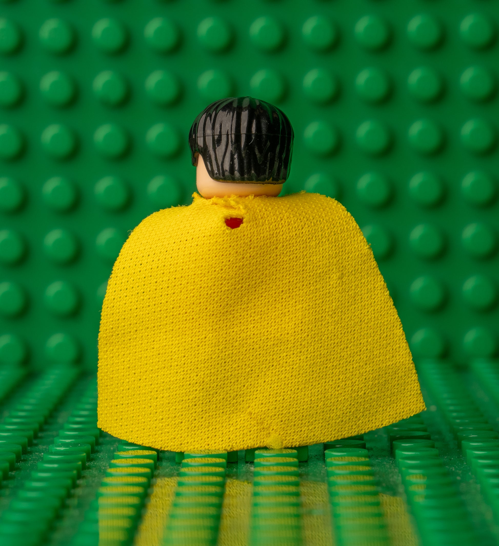 bat025 Robin Short Hair