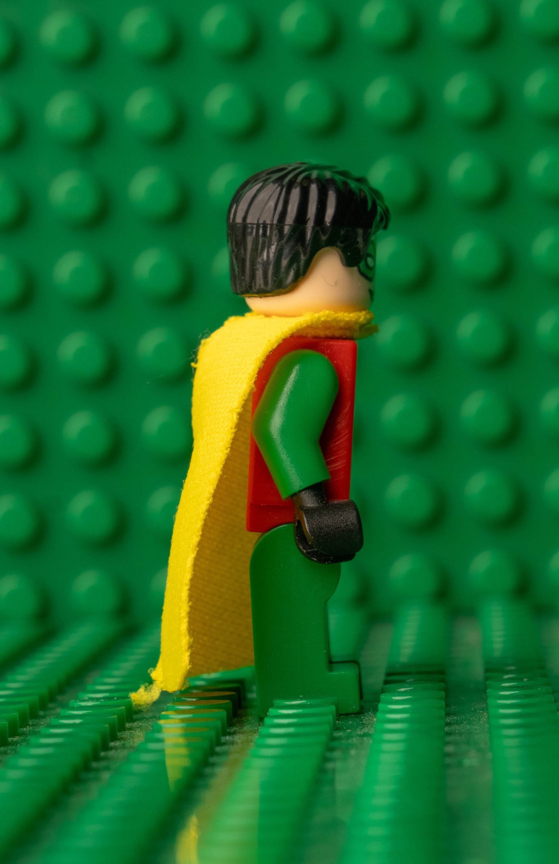 bat025 Robin Short Hair