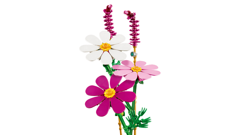 11514 Cosmos Flowers