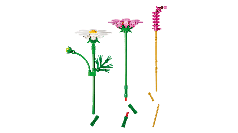 11514 Cosmos Flowers