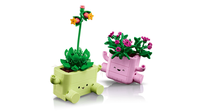 11506 Rocking Plants