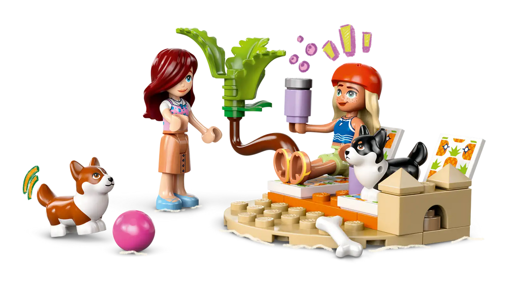 42641 - Surfing Dogs and Scooter Adventure